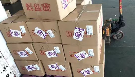 济南遥墙机场货运区